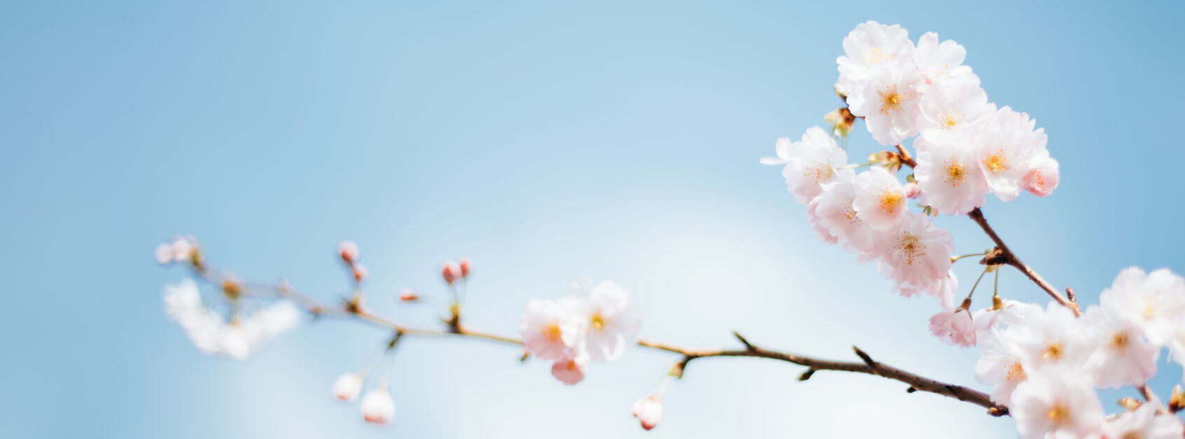 甄春广